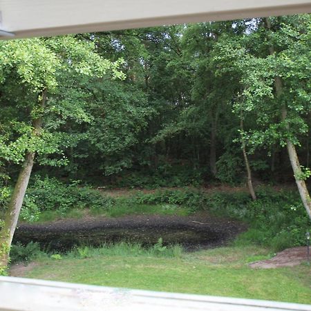 Landhuisjes Bij De Wouterbron Opglabbeek Quarto foto